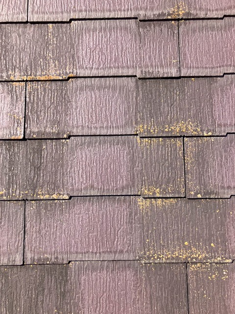 雨水が染み込みカビが発生